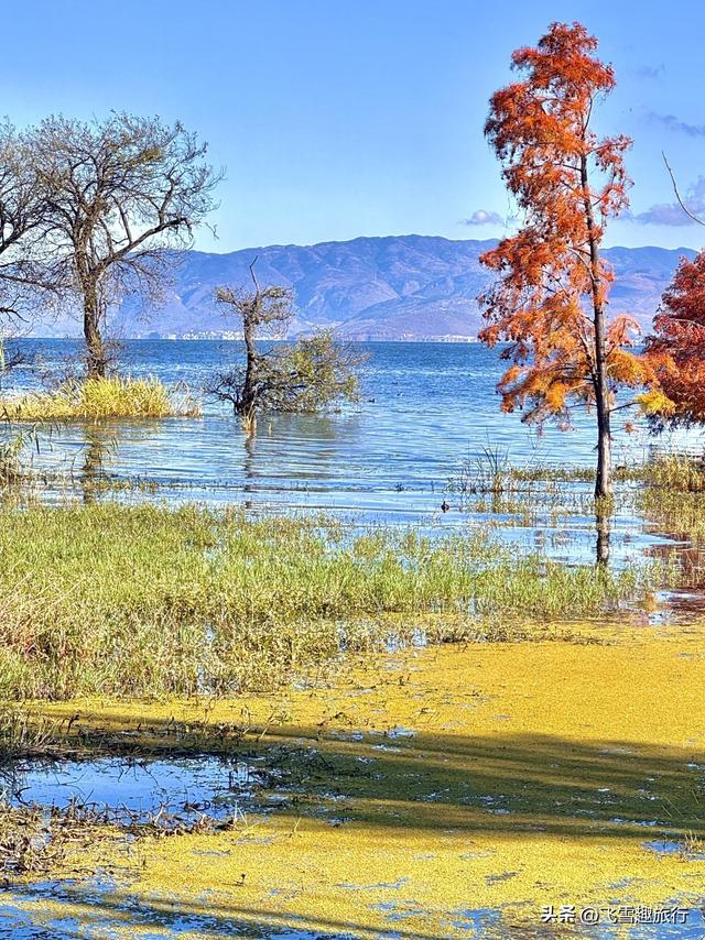 国内十二月出游攻略：五大精选目的地，带你尽享冬日绝美风情