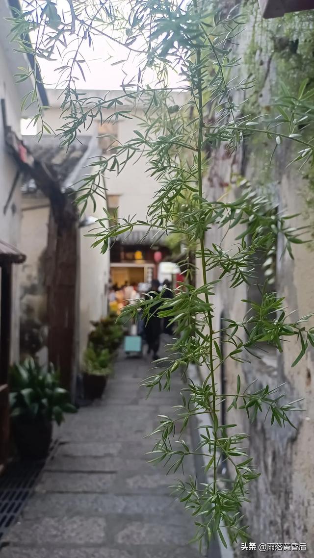 值得一去吗?甘坑古镇人多,内附女同胞上厕所不用排队攻略