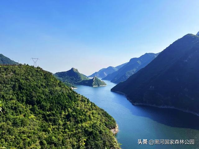 高温别怕！进山纳凉来黑河，山水环绕凉快极了！