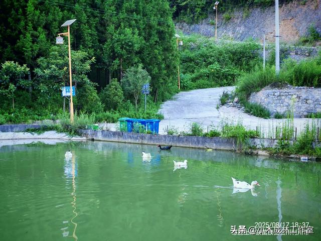 凉城利川白鹊山:民宿佼佼者的“凉”心之选与“热”切期盼
