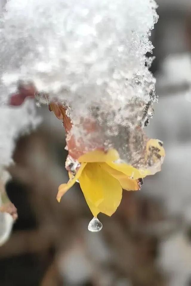 看！这是昌平雪后的美景——