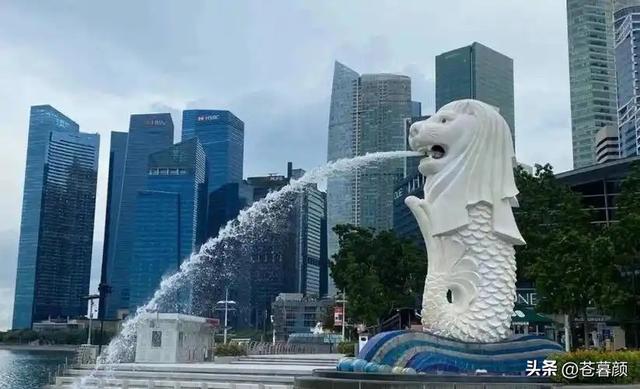 新加坡总统：中国不要自给自足，海南封关将会砸了新加坡的铁饭碗