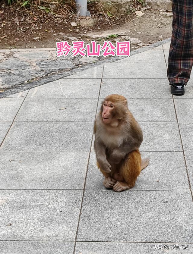 贵阳避暑经典三日游旅游攻略：中国气象学会认证“中国避暑之都”