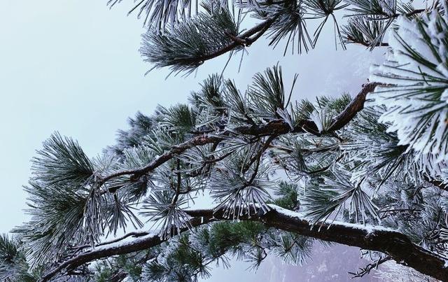 上午小雪冰雪大，下午小雪暖烘烘。今年小雪是啥情况？早了解