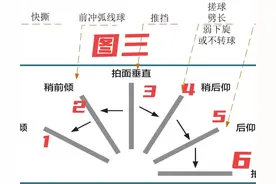 秒懂！乒乓球攻球、拉球、孤圈球的区别和原理！绝对涨球！图片