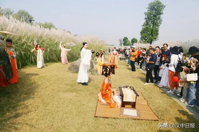汉中第二届芦苇季即将开始！