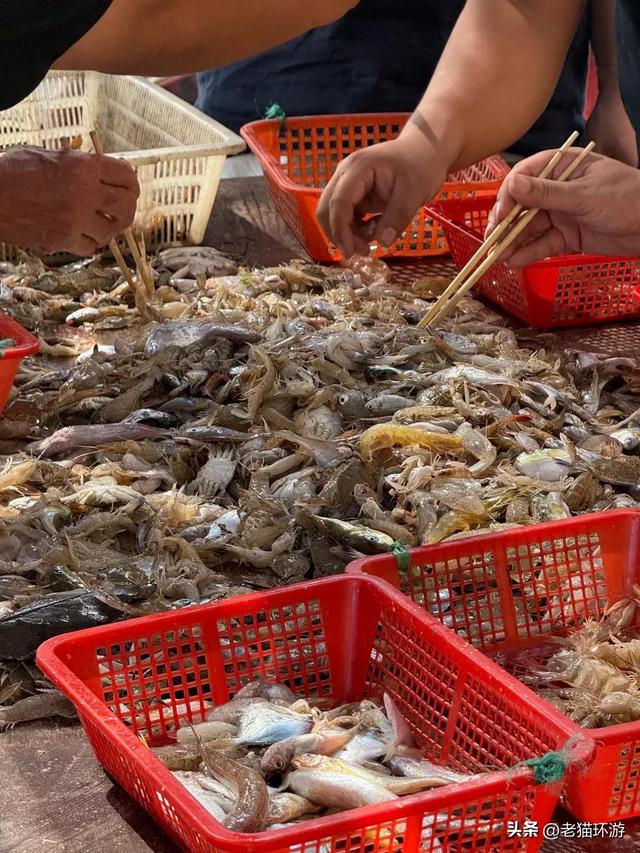 68 个海岛私藏浙江最南,人均 100 元住民宿,度假天花板就在这!