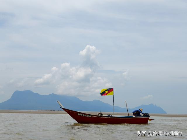 马来西亚(35)砂拉越州⑨峇哥国家公园徒步线路