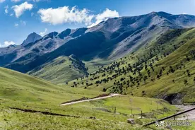 德令哈，不只有海子还有柏树山（青海路书5）图片