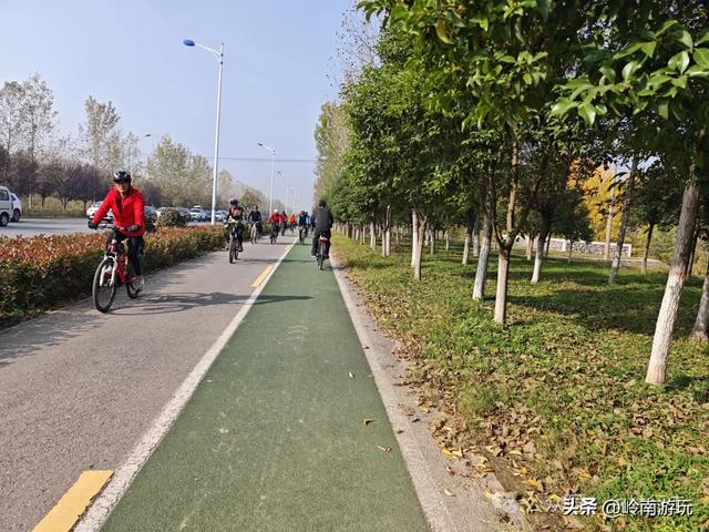 从西安出发1小时,隐藏在高陵河堤路边水上森林,美的令人窒息!