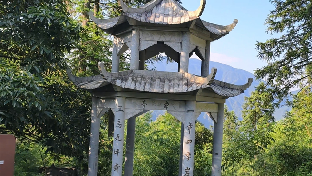 舜帝三临的"南方植物王国"：藏着长征记忆与千年茶香的"大山里"