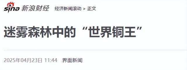 第二个“恒大”出现了！年收入超6000亿，这下许家印可不孤单了