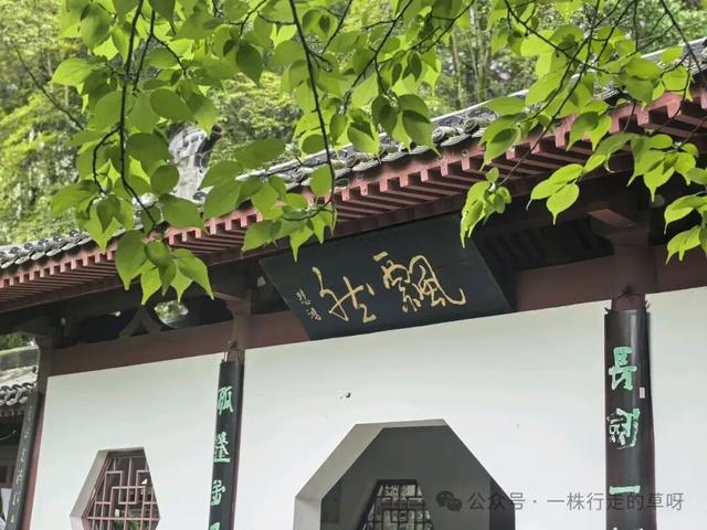 行走记｜李白故居行