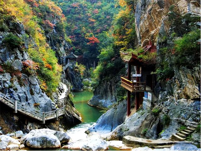 【联动宣传】带你解锁甘川陕交界的小众秘境，陇南官方文旅品牌馆正式上线啦！