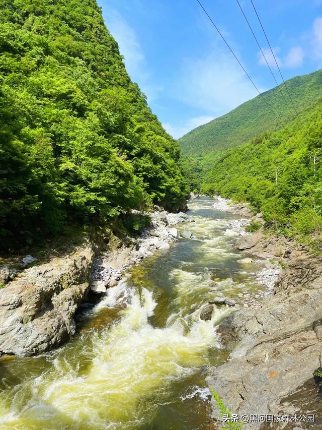 西安山美水美的清凉秘境！夏天来黑河避暑旅游太爽了！