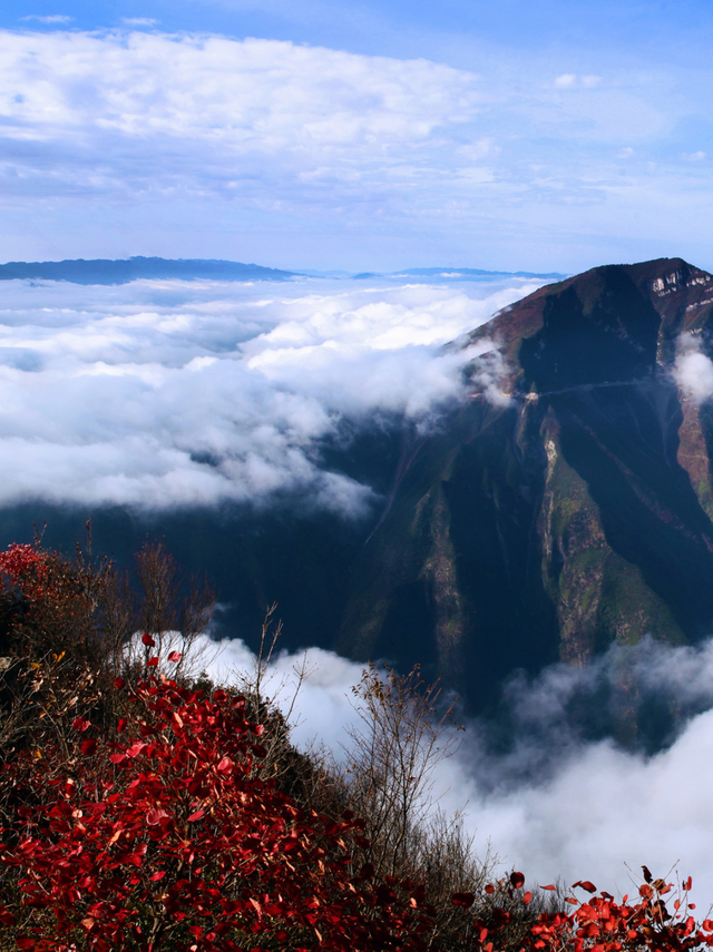 已经开始期待满山红叶的巫山了！