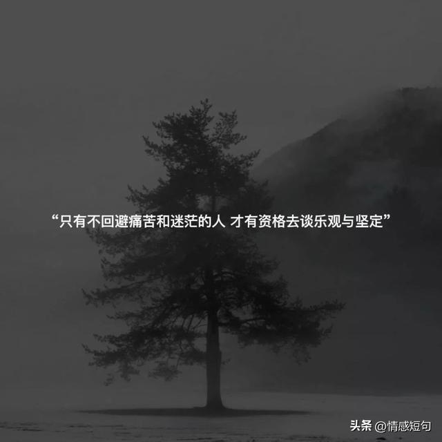 特别成熟的高级文案