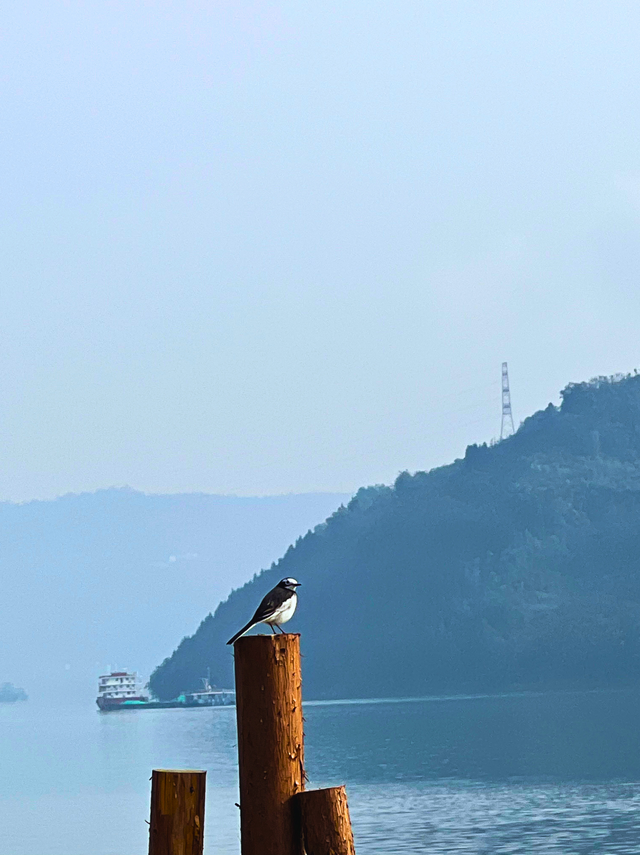 忠县这个江畔慢境，让时光都温柔了！