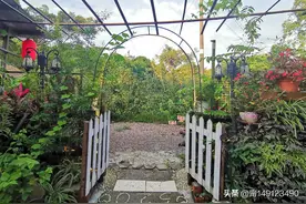 没想到，南宁三塘的老牌生态园区“乡村大世界”，还能这么玩？图片