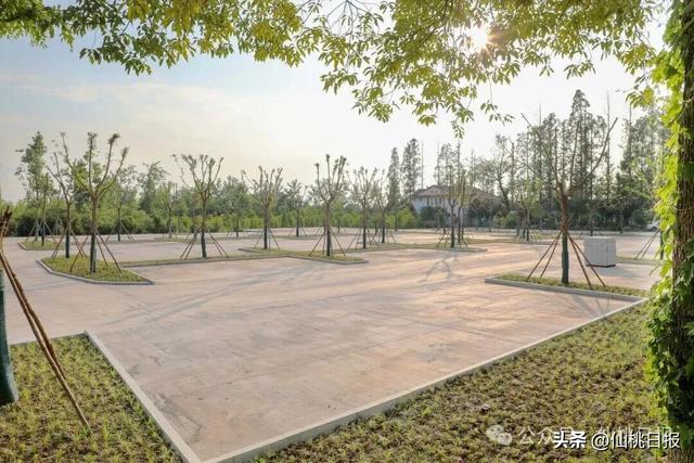 沙原渔村：好风景与好生活共“生长”