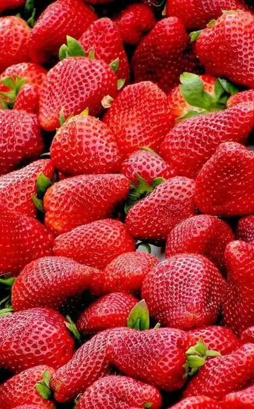 运城周末遛娃天花板!亲子采摘甜翻时光~