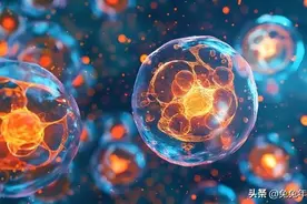 生物制品：百普赛斯、甘李药业、特宝生物、我武生物，谁的潜力大图片