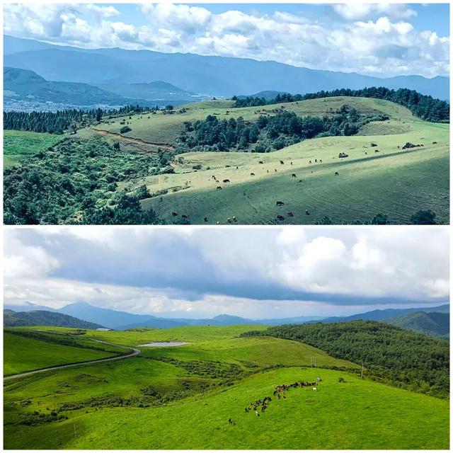 高山草甸在腾冲