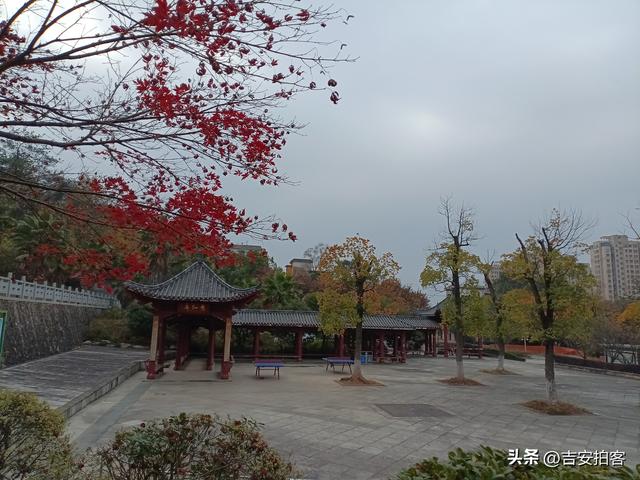 美丽吉安之安福：蒙岗岭公园初冬风光欣赏