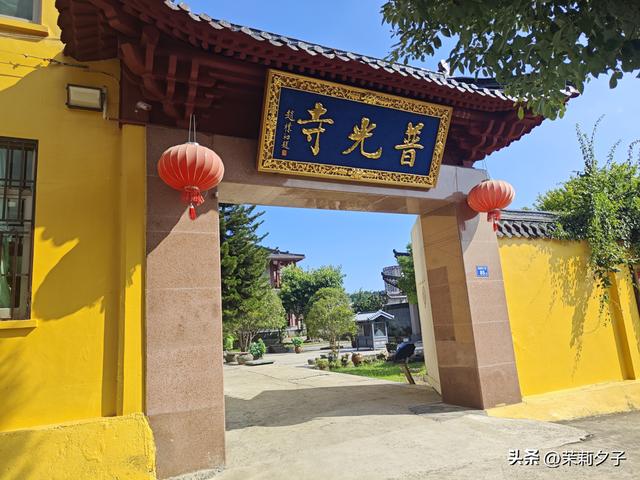福鼎市区一日游：从白茶发源地到市井小吃赏唐风建筑品山海韵味
