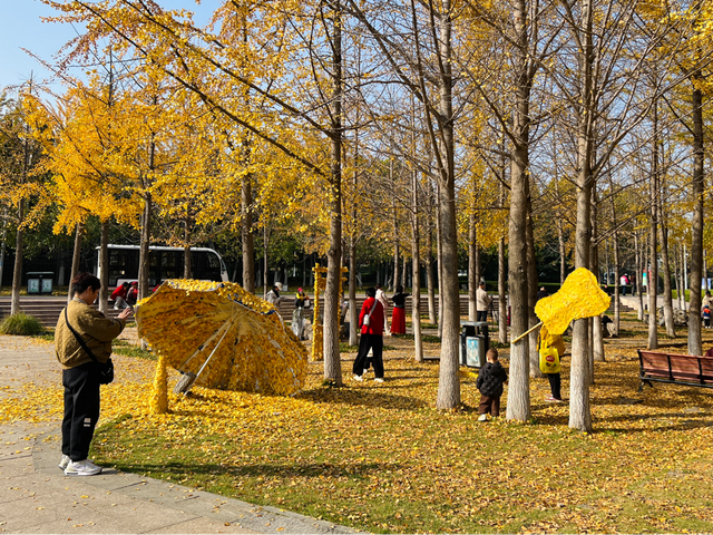 框住一园秋色：临沂园博园创意景观引客来