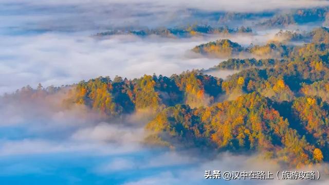 2025汉中黎坪红叶季10月15日云启幕！18日、19日免门票！