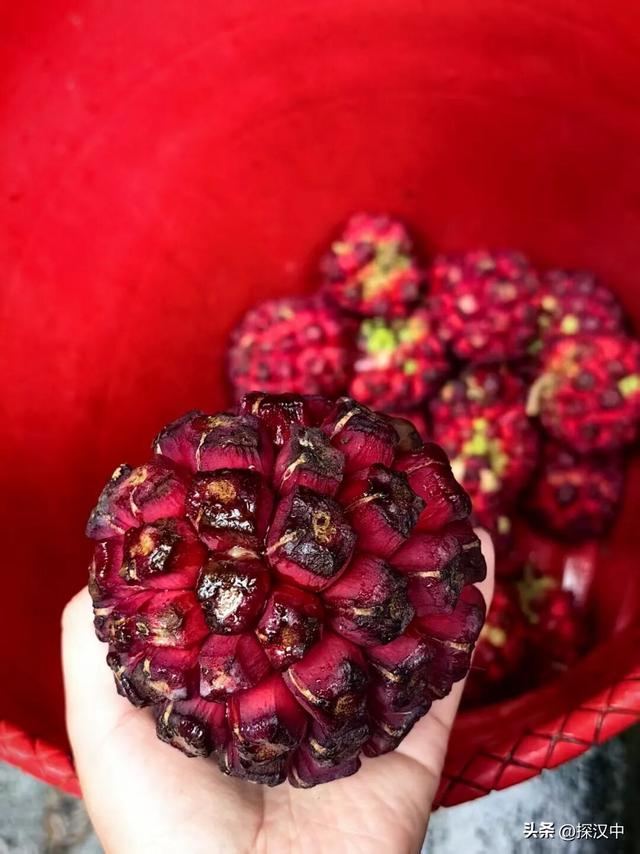 春有繁花夏有凉，秋染山林冬有霜 —— 草川子景区