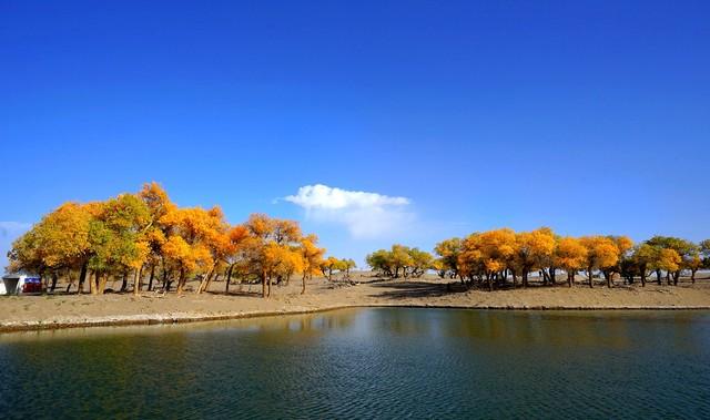 我是烟台人，去了一趟内蒙古后，忍不住想和大家分享我的内蒙印象