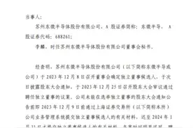 聘任流程存在重大瑕疵，苏州东微半导体被予以监管警示图片