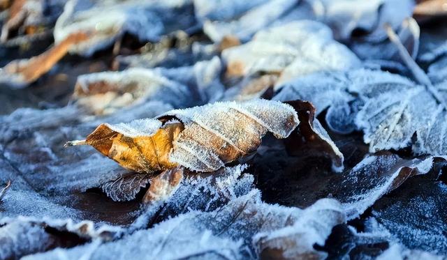 这不是迷信！“最怕立冬是雨天”，今日立冬，下雨啥预兆？