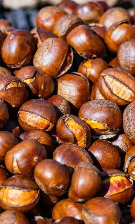 打卡限时浪漫，一键收藏隐珠街道最美秋色！