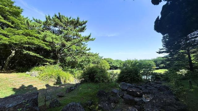 感受自然之美,夏日里的清幽秘境, 韩国济州岛汉拿树木园