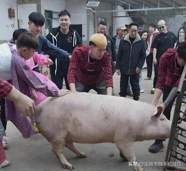 株洲1200场地费后续：闹事人底细被扒，村子遭恶意改名，警方回应