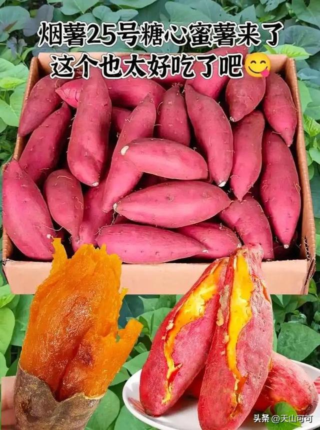 烟薯和蜜薯的区别，从7点来了解！