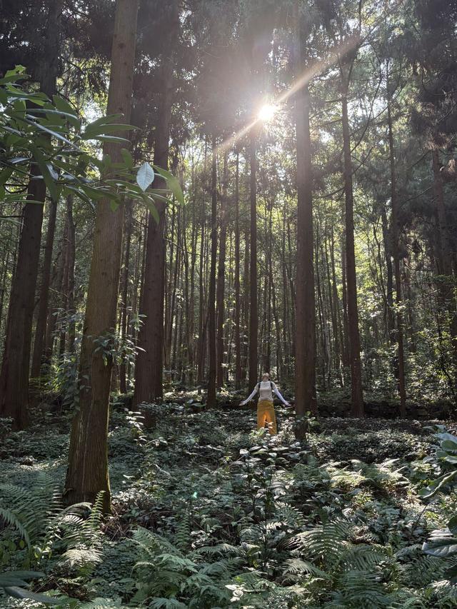 2025首届“中国·南岭山水民谣诗歌节”将在国庆期间精彩绽放