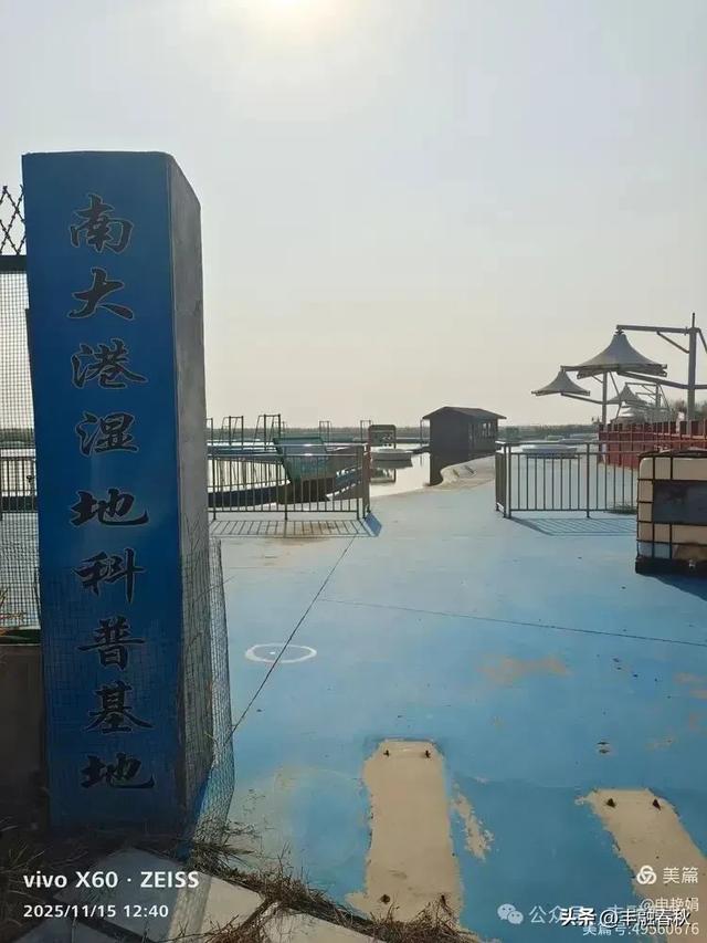 苇风载秋，鹤影映波——河北黄骅南大港湿地的初冬漫游｜ 申艳娟