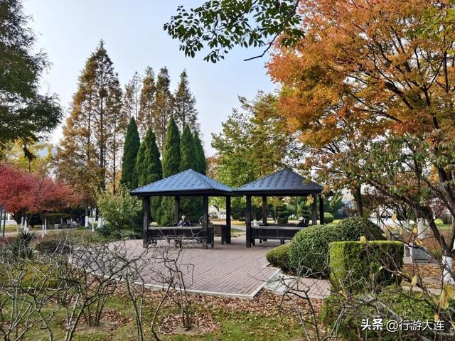 错过等一年~这个周末来这些免费打卡点，拍落叶