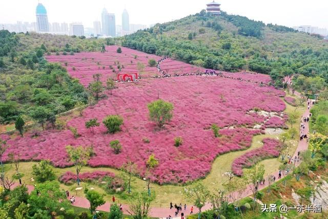 自驾营地：山东枣庄市境内免费床车房车露营地停车场主要景点美食
