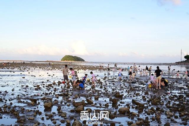 珠海赶海地图出炉！这些宝藏海滩，火爆了！