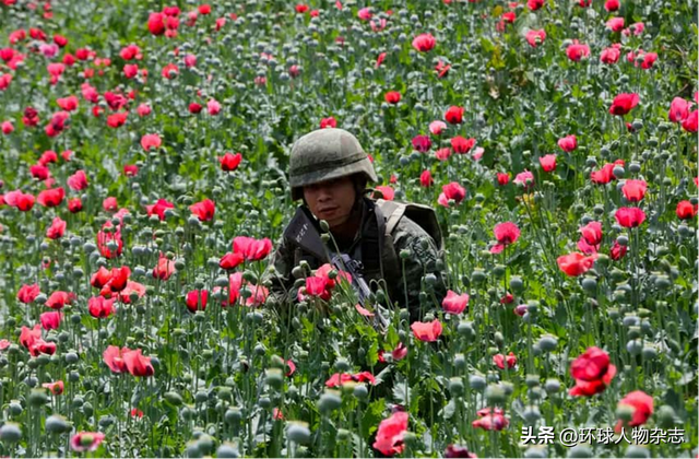 我，在墨西哥“毒品之都”当警察