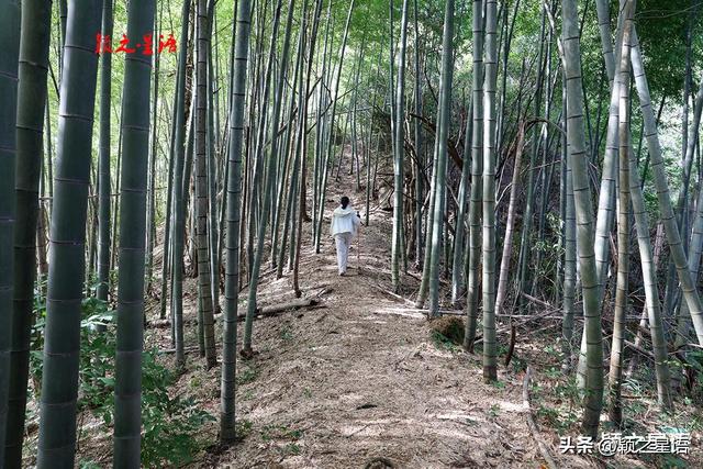 探秘三府界，寻访三界碑