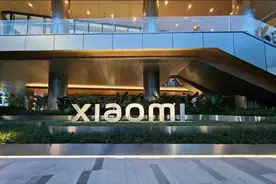 在小米干到21级，到底有多牛？图片