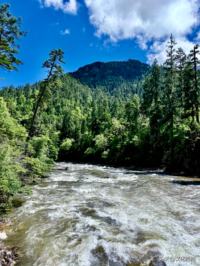 天啊，连万茜着迷的南迦巴瓦，世上还有比它更美的山峰吗？