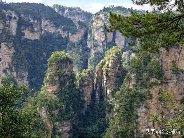 镜头中的山水：寻梦张家界 醉心山水间