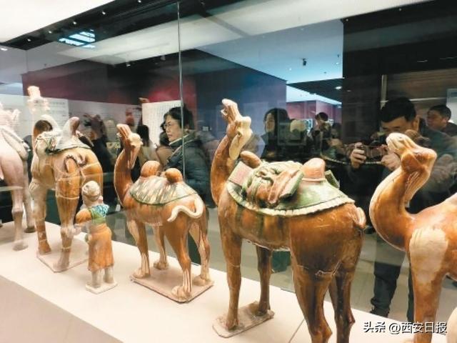 寻迹一城千古韵 满眼风华皆诗绪——2025西安文旅媒体行采访团感受唐诗从典籍走入生活